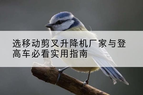 湖北电动升降机厂家-选移动剪叉升降机厂家与登高车必看实用指南