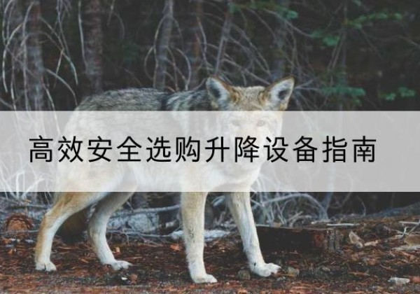 湖北升降货梯厂家推荐-*安全选购升降设备指南